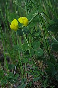 IMG_5577