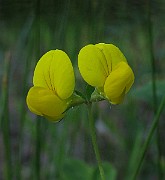 IMG_5583