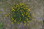 IMG_7050
