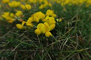 IMG_7052