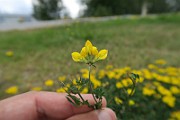 IMG_7054