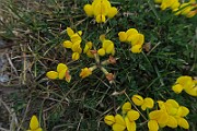 IMG_7056