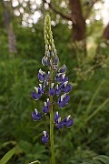 IMG_0373
