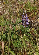 IMG_1214