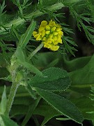 IMG_7390
