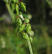 IMG_5633