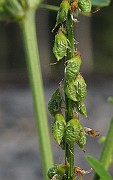 IMG_9389