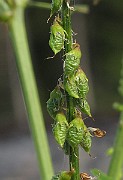 IMG_9390