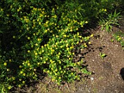 IMG_6996
