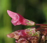 IMG_7664