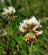 IMG_3884