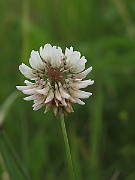 IMG_7599