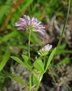 IMG_6992