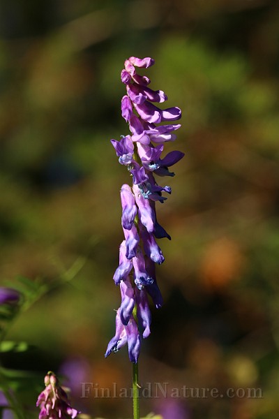 IMG_0265.JPG