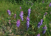 IMG_0147