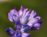 IMG_0262