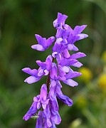 IMG_5777