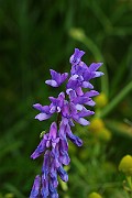IMG_5780