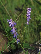 IMG_7484