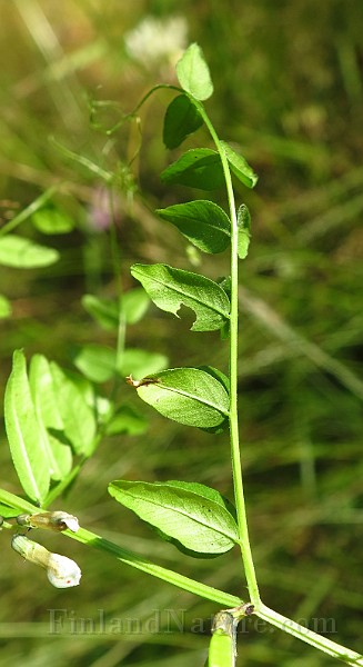 IMG_1497.JPG -                                