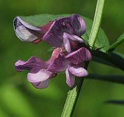 IMG_7566
