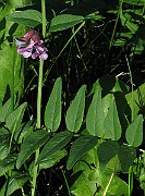IMG_7567