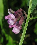 IMG_7568