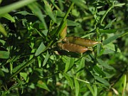 IMG_7573