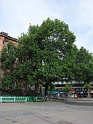 IMG_2715