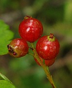 IMG_5877