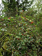 IMG_5879