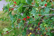 IMG_6739