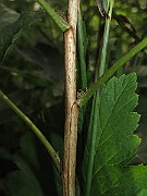 IMG_7860