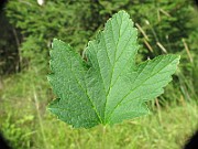IMG_7862