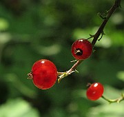 IMG_7900