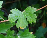 IMG_6765