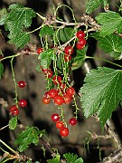 IMG_3027