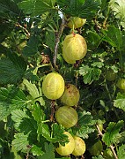 IMG_0146