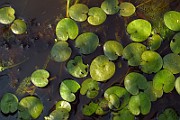 IMG_2745