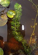 IMG_2755