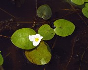 IMG_2756