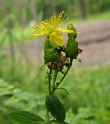 IMG_2893