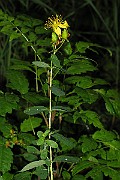 IMG_2897