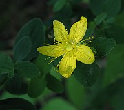 IMG_3167