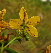 IMG_3686