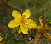 IMG_3687