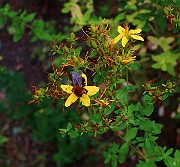 IMG_6851