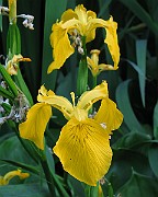 IMG_3704