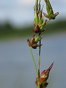 IMG_1947