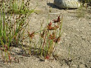 IMG_2001